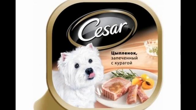 корм для собак аллергиков