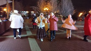 Чубчик кучерявый..... 20.12.24.