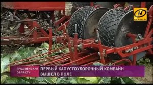 Первый капустоуборочный комбайн вышел в поле