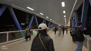 Night Walk in Hong Kong： From Central to Tsim Sha Tsui Ferry Adventure