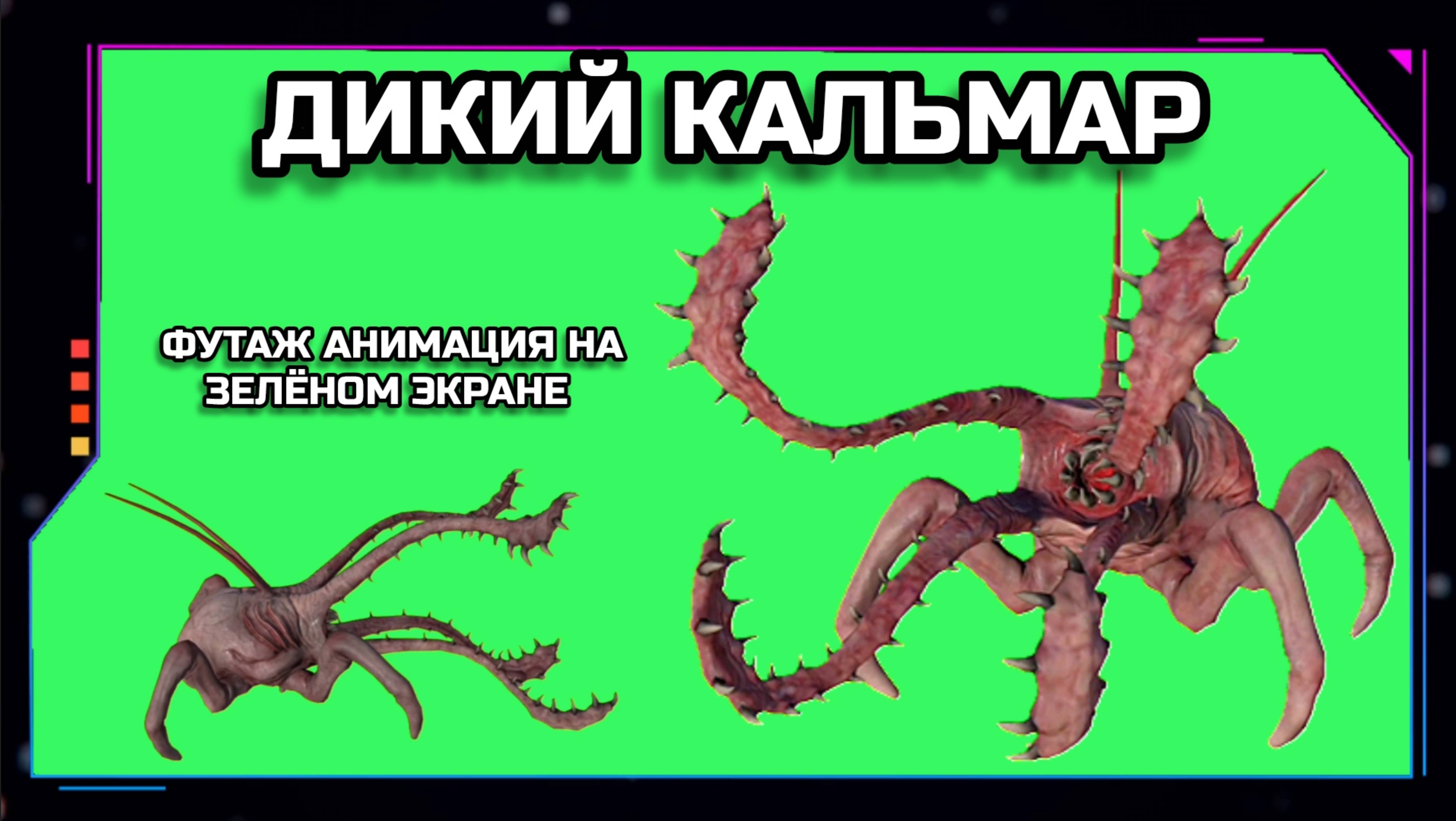 КАЛЬМАР МОНСТР видео Green Screen футаж. ХРОМАКЕЙ АНИМАЦИЯ на зелёном фоне.