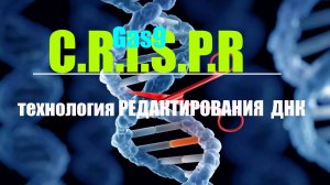 [CRISPR ]-технология устранения дефектов ДНК. [Краткий Экскурс. ]
            Выводы делайте сами