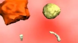 Фагоцитоз и работа иммунной системы