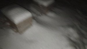 Зимовка пчел на улице 18.12.2024 село Дедуровка