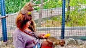 Папа ушел и Люська решила что лучший стол, это голова мамы Тани!