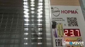 Обзор инкубатора блиц Норма Ц10