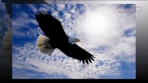 Орёл в Курятнике Мудрая притча о предназначении человека и его самооценке