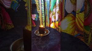 Зелёные ведьмы