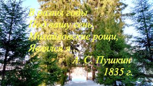 Усадьба А. С. Пушкина в Михайловском зимой.