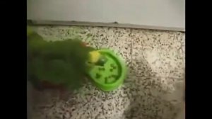 Даже кошки знают рыгать  не прилично!