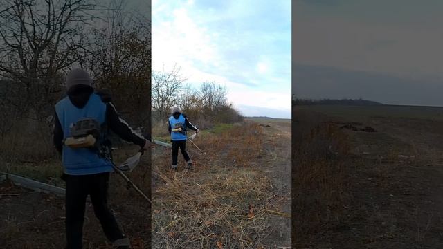 Подготавливаю огород к пахоте.ТГК - DanilaFermer #shorts #триммер #подготовкакзиме #farmlive #врек