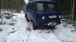 Охота на куницу капканами. Установка капканов КП-120 и ящичных ловушек. Начало сезона.