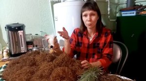 Сезон елок Натуральный хвойный наполнитель.