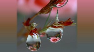 Мир в капле воды и стекла (Колыбельная о четырёх дождях,исп.Л.Сенчина,муз.С.Пожлаков, сл.Л.Лучкин.)