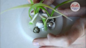 Декоративный аквариум, за которым совсем не нужно ухаживать