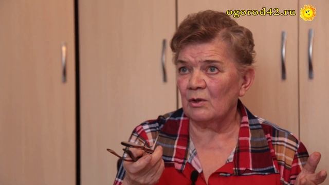 Важное условие для успешного выращивания рассады мелкосеменных культур