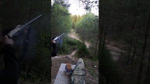 Беретта а 400 стрельба пулями