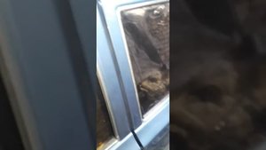 Заводские зазоры дверей на Волге.