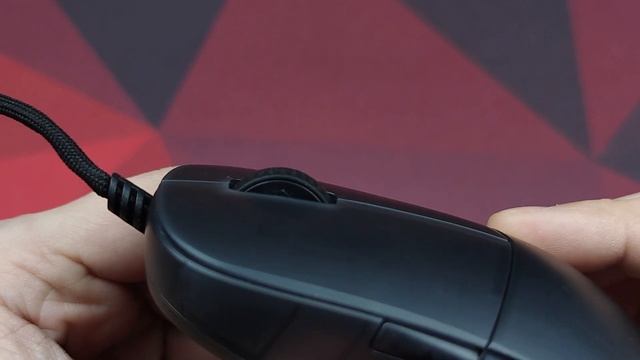 Обзор EndGame Gear XM1R. Лучшая проводная мышь?