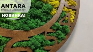 Антара - часы со мхом и русским (арабским) циферблатом. НОВИНКА!
