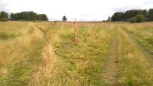 Середина августа 2017 и отпуска в Родовом поместье Ве Лес