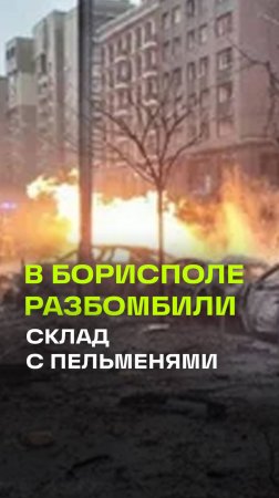 В Киеве утверждают, что на складе военной техники на аэродроме Борисполя были пельмени