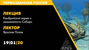 Лекторий АРХЭ на фестивале "Первозданная Россия", Попов Я. "Кембрийский взрыв и окаменелости Сибири"