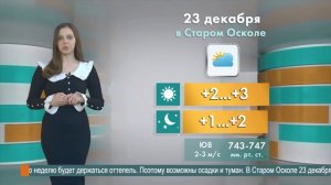 Погода в Старом Осколе на 23 декабря