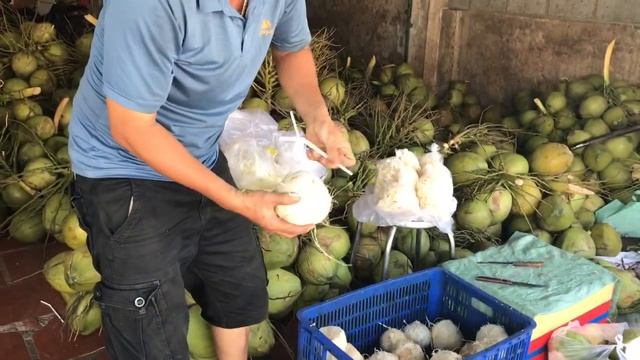 ЭЛАСТИЧНАЯ ВЬЕТНАМ МУЙНЕ