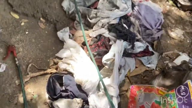 Proton gen 2 is being overhauled смотреть онлайн