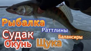 СУДАК ЩУКА ОКУНЬ НА РАТТЛИНЫ БАЛАНСИРЫ ПЕРВЫЙ ЛЁД РЫБАЛКА ЗА ГОРОДОМ РЕКА НЕВА ВТОРОЙ ВЫХОД НА ЛЁД