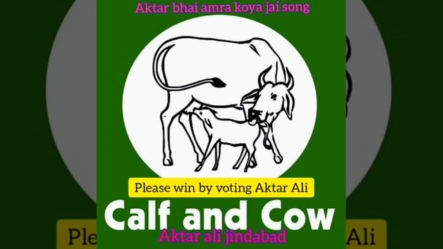 New Song Aktar Ali Amra koia jai koia jai||MDC election M.ganj||Please watch the video🙏🙏🙏 смотреть онлайн