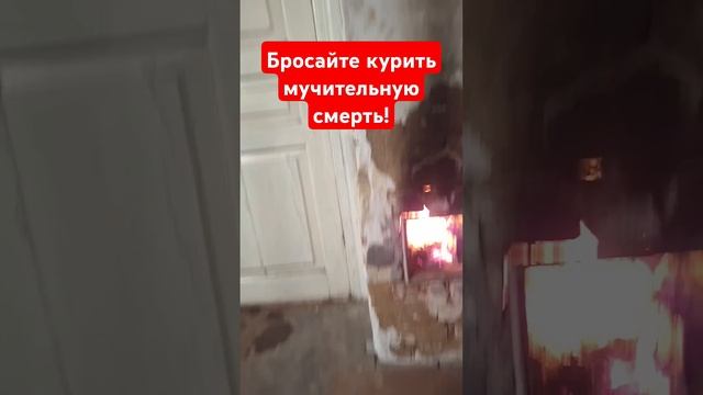 Мотивация, чтобы бросить курить! #shorts #броситькурить #курениесмерть