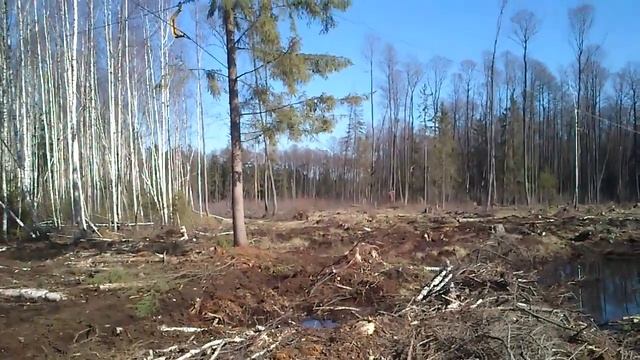 Установка для трелевки леса WooDliner б/у.