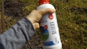 Какое я использую средство от сорняков?
