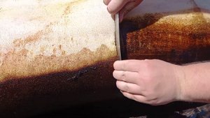 Забой поросёнка породы дюрок Курс молодого бойца/Забой Дюрка восемь месяцев