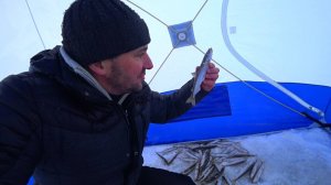 Не зря сменил место!!! Рыба Заклевала и Рыбалка Удалась!!!