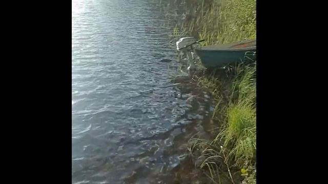 My Trip To OH73ELK Radio Island In Finland Summer 2019 Fancy Edit