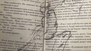 Муниципальный конкурс буктрейлеров (2024-2025 учебный год)
2 место