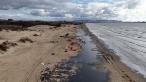 Масштаб экологического бедствия в Анапе показали с высоты