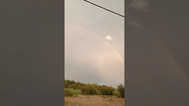 bora em busca do pote de ouro смотреть онлайн