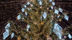 Поставили красивую Новогоднюю ёлку на Михайловской Набережной в городе Коломна, Как Вам ёлка?