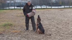 7.  выражено/перв DENNY F. GRUNEN STADT (Condor V. Patersweg – De Orse Mak Flai Olivka)