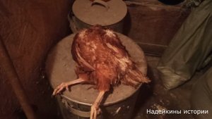 Зимой дел много, но о себе не забываю