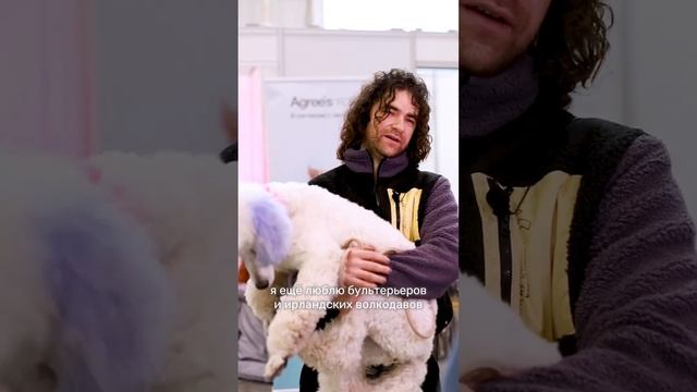 "Ей можно делать прически и красить в цвет, а еще они ладят с кошками" смотреть онлайн