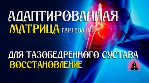 Матрица для тазобедренного сустава   🌀 Адаптированная программа матрица ☀️ SoftRadio.ru