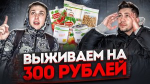 Выживание на 300р (это возможно?)