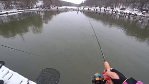 Спиннинг. Форель. Красногорск . Вопрос-ответ