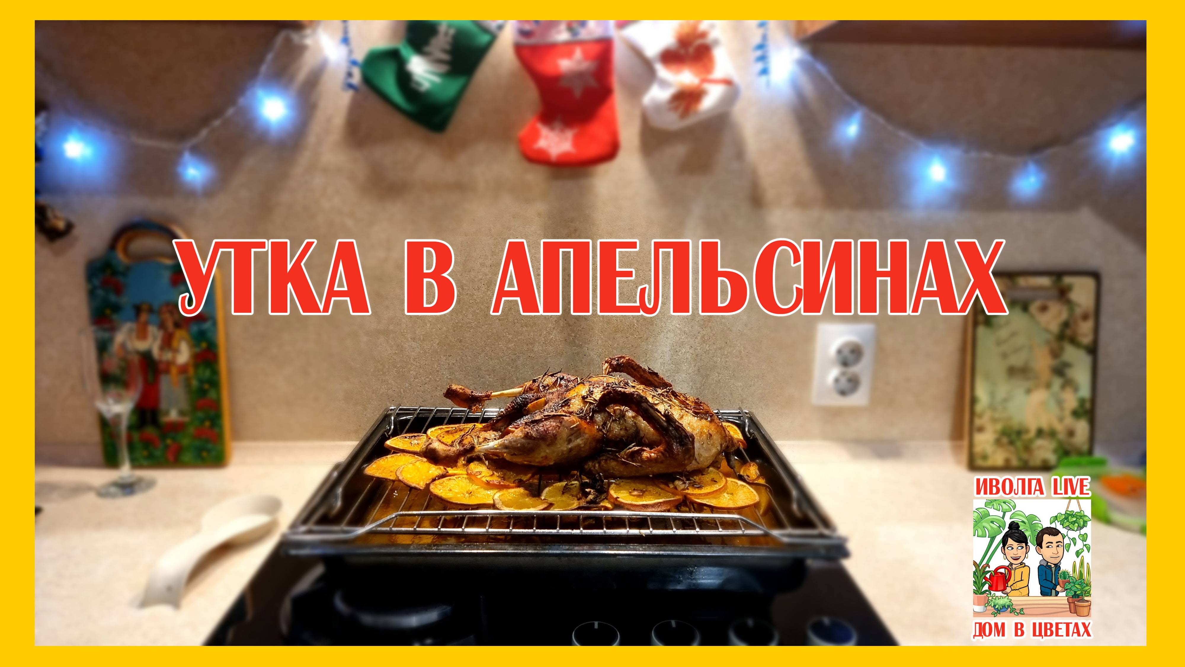 Утка в апельсинах смотреть онлайн