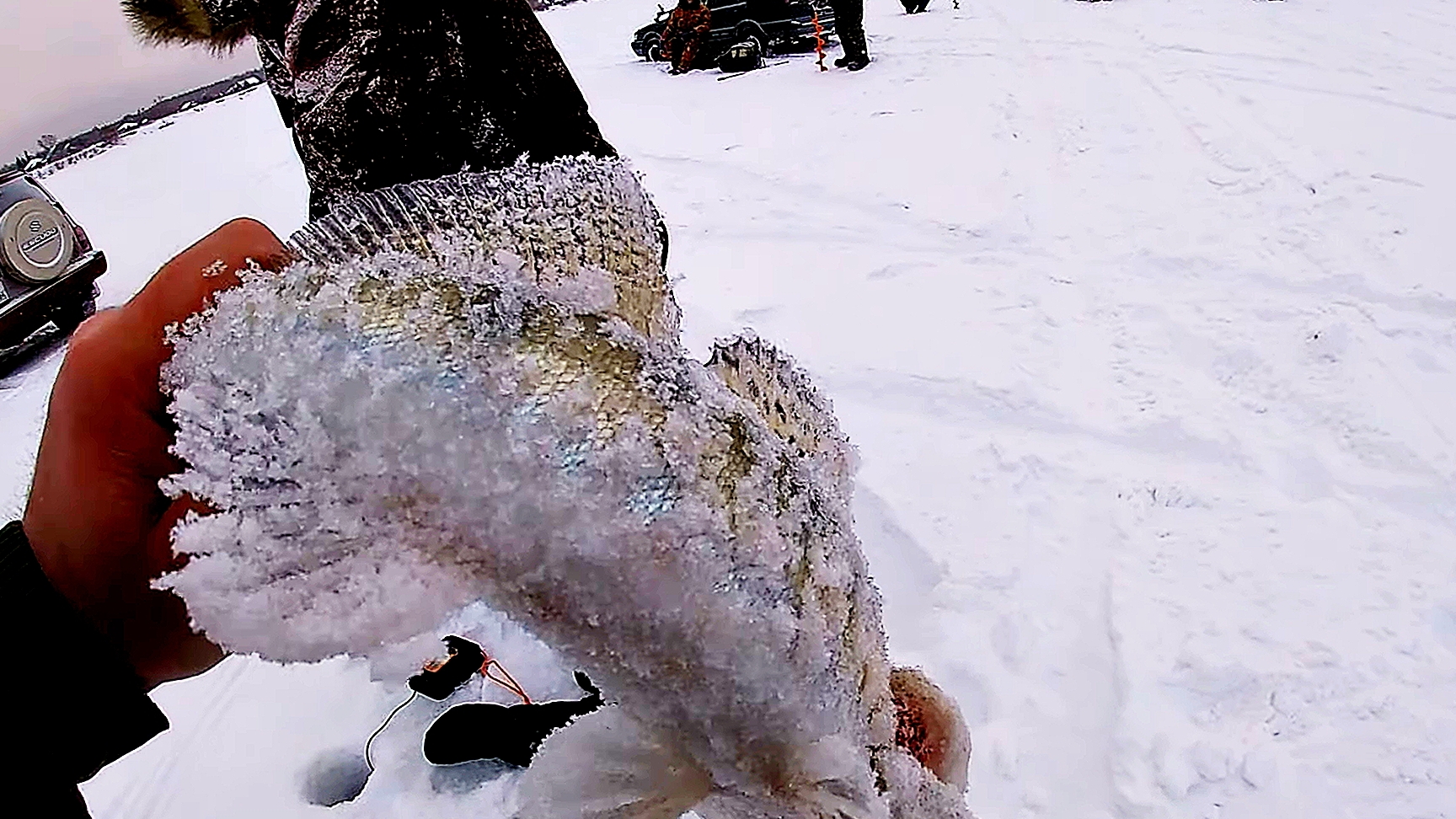 РЫБА НЕ ЛЕЗЕТ В ЛУНКУ! ЗЛЫЕ ПОКЛЁВКИ! РЫБАЛКА НА СУДАКА смотреть онлайн